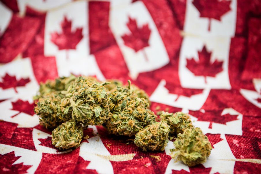 Легализация марихуаны канада браузер тор настройка анонимности gidra