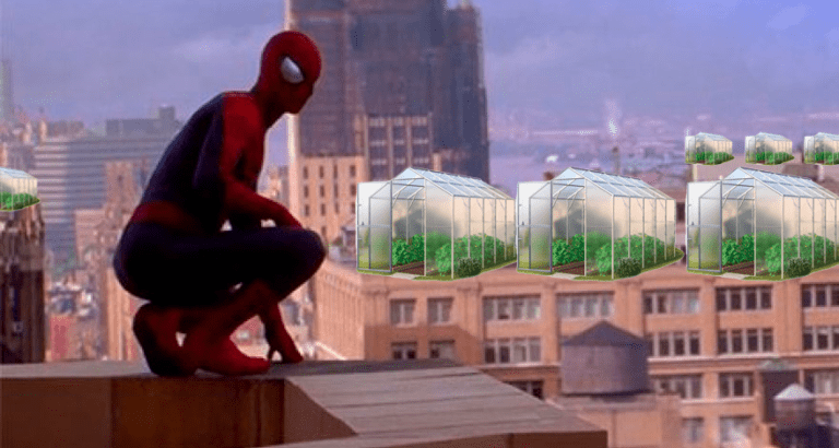 Мэр Нью-Йорка думает о размещении теплиц с коноплей на крышах общественных жилых зданий