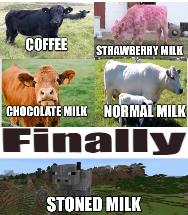Ученые выяснили: если кормить коров каннабисом, они начинают давать психоактивное молоко